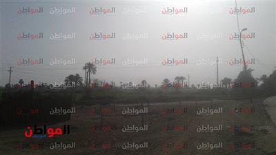 فيديو.. تعرف على حالة الطقس ودرجات الحرارة اليوم