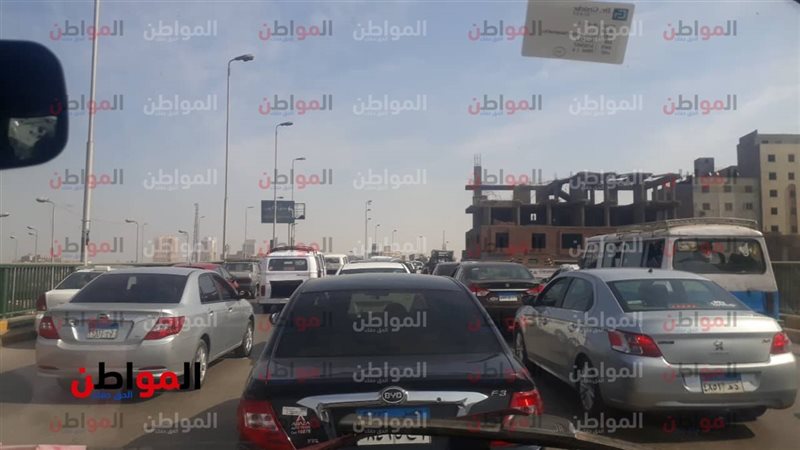 المواطن