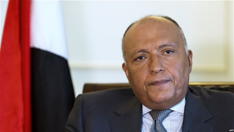 سامح شكري