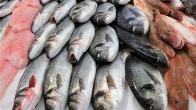 سعر السمك اليوم الثلاثاء 29 يناير 2019 في سوق العبور