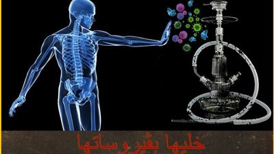 على غرار خليها تعنس .. خليها بڤيروساتها حملة جديدة للقضاء على الشيشة