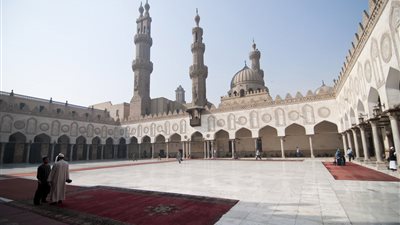 فيديو| الأزهر يقصف جبهة مؤسسي حملة خليها تعنس 