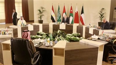 عقب انتهائه.. هذه أبرز القضايا التي تمت مناقشتها في اللقاء التشاوري الوزاري العربي بالبحر الميت