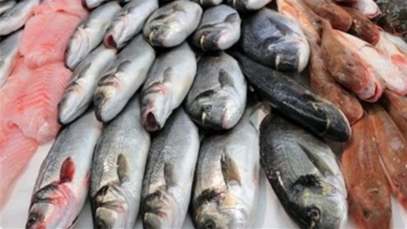 سعر السمك اليوم في