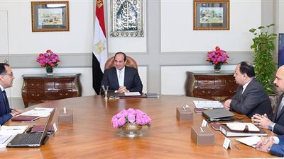 المالية والصحة يستعرضان أمام الرئيس منظومة ميكنة التأمين الشامل في بورسعيد