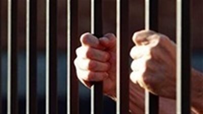 حبس 3 أشهر وكفالة ألف جنيه لـ وكيل الشباب والرياضة بالغربية  الذي ضرب عاملة