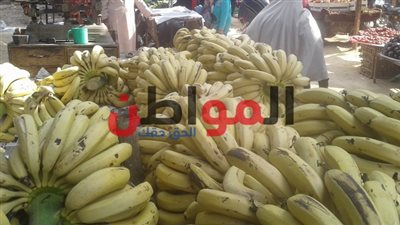 نشطاء بني سويف يدشنون حملة 
