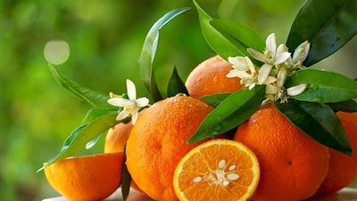 سعر البرتقال في سوق العبور اليوم السبت 2 فبراير 2019