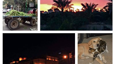حكايات مصر الحلوة الشقيانة .. ليل القاهرة الساحر ونهارها المزدحم بالتفاصيل