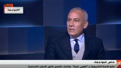 حسن سند: هدف القومي للمرأة الحفاظ على كيان الأسرة المصرية