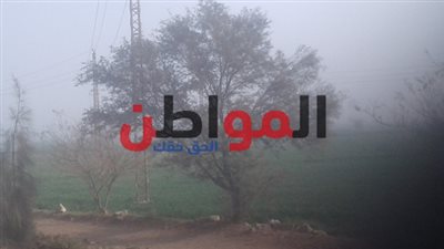 صور.. تعرف على درجات الحرارة ببني سويف اليوم الأحد 