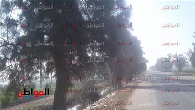 صور.. ارتفاع درجات الحرارة ضمن أحوال الطقس ببني سويف اليوم الإثنين 