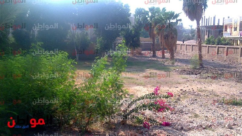 قرية بنجا