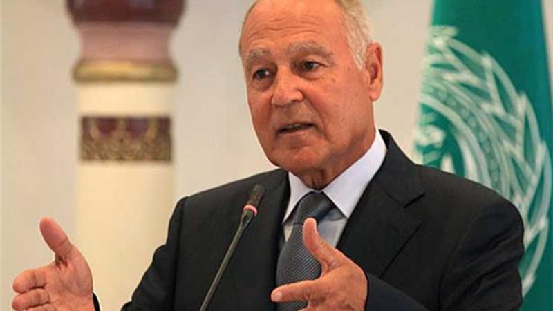 أحمد أبو الغيط 