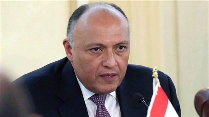 سامح شكرى 