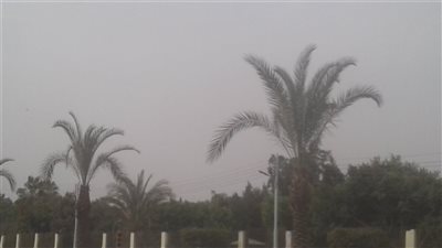 صور| رياح محملة بالأتربة والرمال تضرب بني سويف اليوم الثلاثاء
