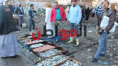 فيديو| على مزلقانات الموت بالإسكندرية.. حكاية أقدم بائعة بالعامرية