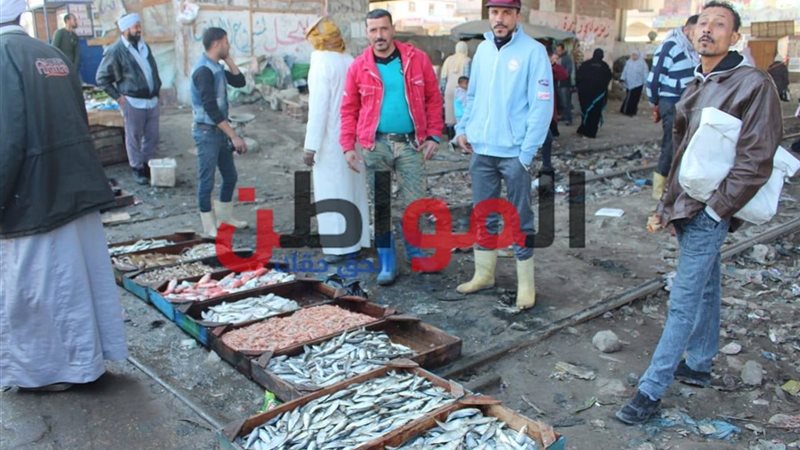 مزلقانات الموت بالإسكندرية