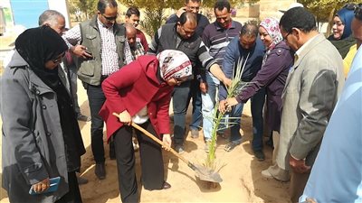 نائب محافظ الوادي الجديد تشارك في فعاليات يوم البيئة الوطني بالداخلة