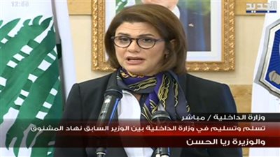 ريا الحسن لنساء لبنان: أنا هحميكم من أى حد 