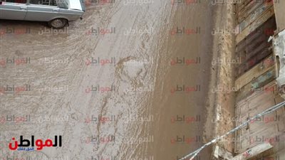 صور| الأمطار تضرب المنوفية وانخفاض شديد في درجات الحرارة 