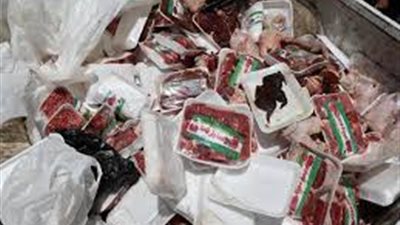تحرير 32 محضر جنحة صحية في بني سويف