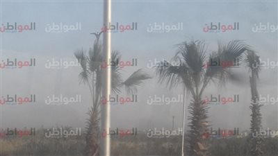 صور.. تحسن نسبي في أحوال الطقس بالجيزة اليوم