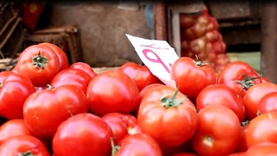مجنونة يا أوطة .. سعر الطماطم في سوق العبور اليوم الخميس 7 فبراير 2019