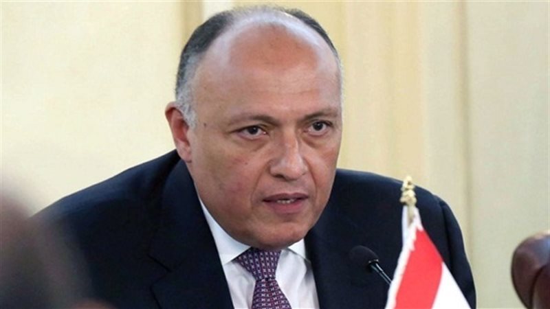 سامح شكري