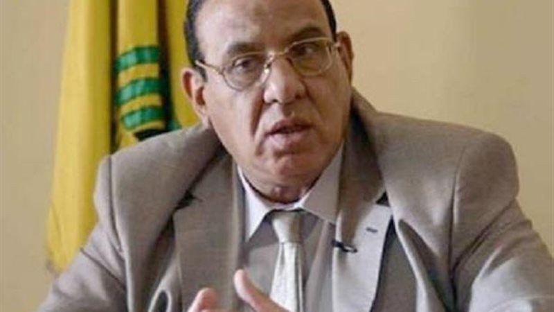 طلعت عبد القوي في
