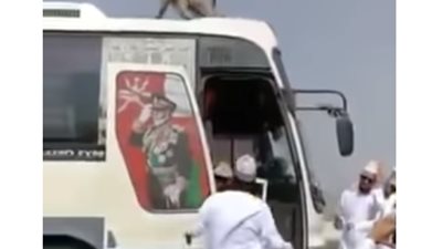 قطعت خلفي الله يخربيتك.. هجوم قرود على أشخاص يسبب لهم الفزع