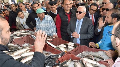 محافظ بورسعيد: غلق جميع الأسواق العشوائية للأسماك وتجميعها بالسوق الجديد