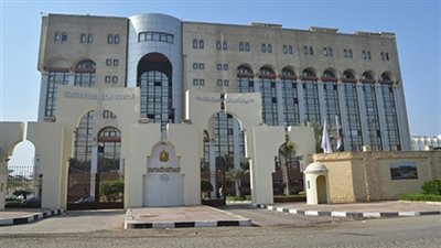 الهيئة المصرية للاستعلامات تقود دفة الإعلام الإفريقي إلكترونيا وتطلق بوابة خاصة للقارة السمراء