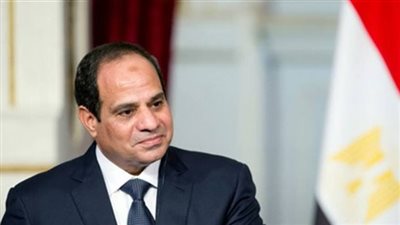 الرئيس السيسى: مصر تسعى لأن تكون أفريقيا أفضل 