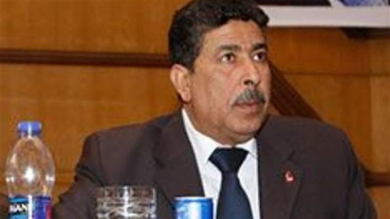 ابراهيم هيكل