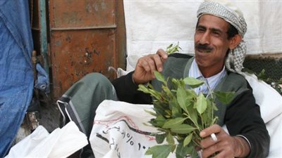 إحذر .. نبات القات يحولك إلى مجنون أو فريسة للعصابات