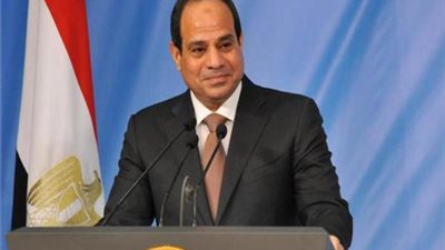 رئيس البرلمان الأفريقي: خطط السيسي دفعة قوية للقارة
