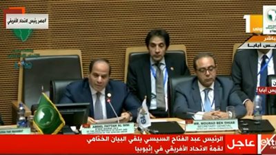 السيسي: شهدنا نجاحًا ملموسًا وتوافقًا بين القادة على أولويات العمل المقبل 
