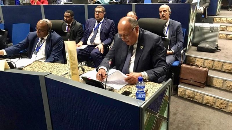 سامح شكرى وزير الخارجية