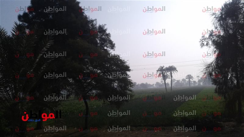 .حالة الطقس في محافظة