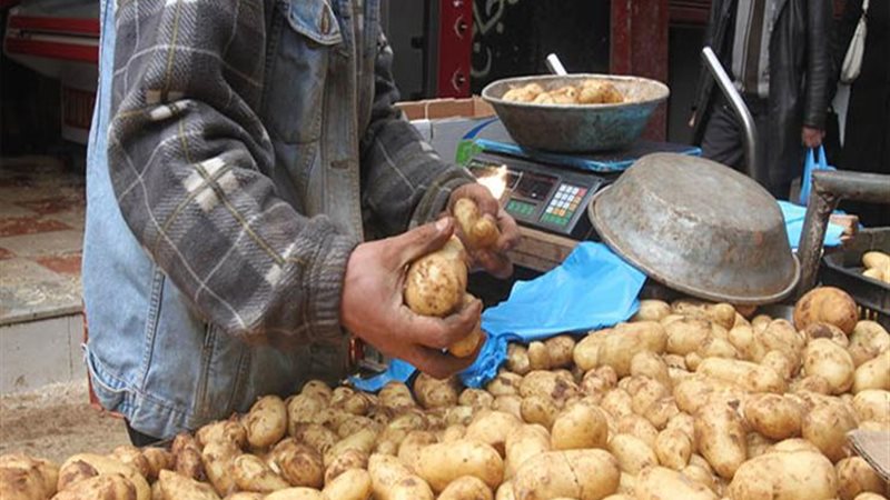 سعر البطاطس اليوم