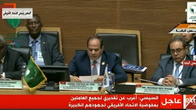 السيسي: نسعى خلال عام 2019 على تعزيز روابط التنمية المستدامة