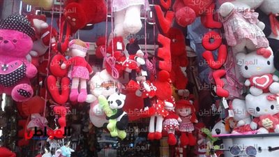 صور| «ماروني والفيل فلافيلو» أشهر تقاليع الفلانتين ببني سويف