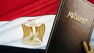 «شركة الدلتا للأسمدة» تعلن تأييدها للتعديلات الدستورية 2019 