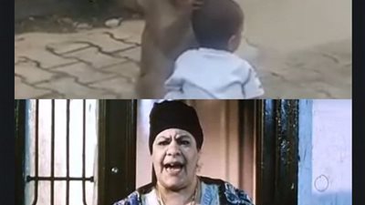 الله يخرب بيتك يا اسماعيل بوظت الواد .. قرد يخطف طفل لهذا السبب! 