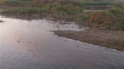 البحث عن مصدر ظهور بقعة زيت بـ النيل في سوهاج 