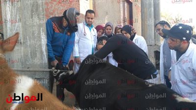 صور| جامعة دمنهور تنظم قافلة علاجية بيطرية بقرية عمارة 