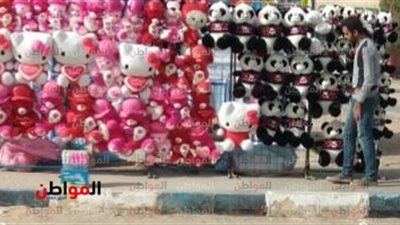 صور| هكذا أجواء عيد الحب 2019 بـ الإسماعيلية 