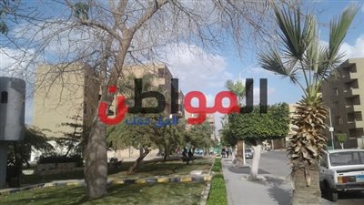صور| استمرار سوء الأحوال الجوية ببني سويف اليوم الجمعة
