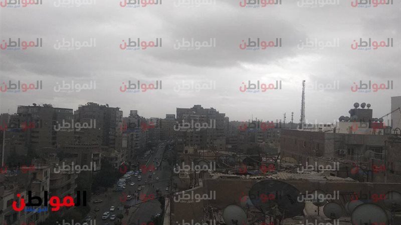 المواطن
